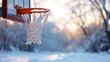 Basketball hoop awaits the thaw, game on hold