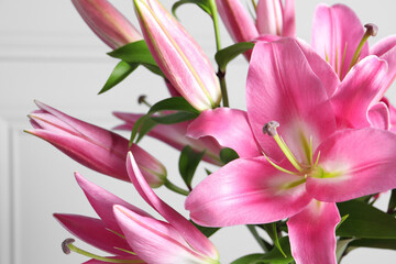 Poster - Beautiful pink lily flowers on light background, closeup