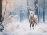 Fototapeta Zwierzęta - A majestic deer stands in a frosty forest landscape, with its large antlers glistening in the cold. Snow covers the ground, and frozen branches frame the serene scene.