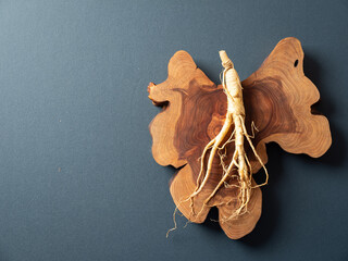 Poster - Ginseng on old wood