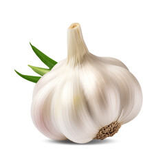 Wall Mural - Garlic isolated on transparent or white background, png