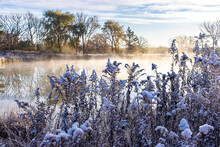 Snow-covered Goldenrod Plants In The Shade Along A Steaming Pond On A Cold, Winter Day.