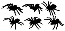 Set Collections Black Spider Silhouette Animal Icon. Tarantula Spider Vector Illustration