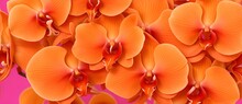 Bunch Of Orange Orchid Flowers Detailed Texture Background From Generative AI