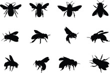 Honey Bee Silhouette, Honeybee Silhouettes, Bee Silhouettes, Flying Bee Silhouette, Honey Bee Icon, Bee Vector Illustration
