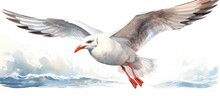 A Watercolor Illustration Of A Seagull Which Is Hand Drawn Can Be Seen In Isolation On A White Background