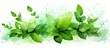 An isolated watercolor illustration of mint leaves on a splash background