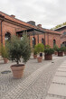 potted trees of outdoor garden of New Holland