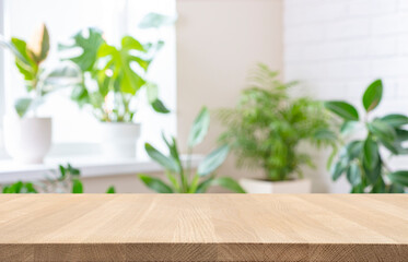 Wall Mural - empty wood table top on blur window sill with green house plants background