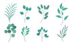 set collection of leaves, beautiful leaf elements for decoration and design