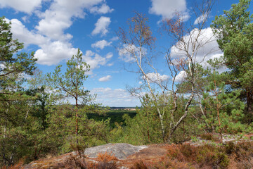 Poster - Coquibus hill and Courances plain in the French Gâtinais Regional Nature Park