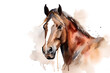 Watercolor portrait of a horse with splashes of paint on a white background. AI generated illustration.