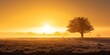 Serene sunrise. Embracing nature beauty in morning light. Captivating sunset scenery. Journey through changing seasons. Enchanting landscape. Tranquil moments in misty meadow