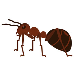 Poster - ant flat icon