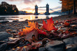 Tower Bridge with autumn leaves in London, England, UK