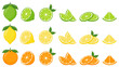 © DisignUA - Big vector set of citrus fruits.Orange,lemon and lime icons on white background.Vector illustration