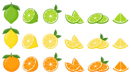Wall Mural - big vector set of citrus fruits.orange,lemon and lime icons on white background.vector illustration