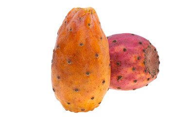 Sticker - prickly pear isolated