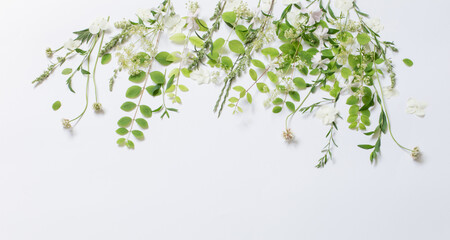 Wall Mural - wildflowers and plants on white background