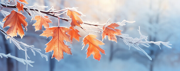 Poster - Beautiful frozen branch with orange and yellow maple leaves in the forest. Autumn winter background