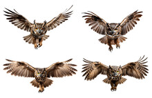 Owl In Flight Png. Owl Isolated Png. Owl Flying With Wings Spread Png. Brown Owl Png. Owl Png