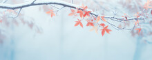 Beautiful Frozen Branch With Orange And Yellow Maple Leaves In The Forest. Autumn Winter Background