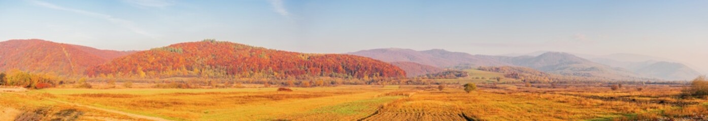 Wall Mural - mountainous carpathian rural landscape in morning light. countryside scenery in autumn