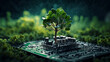 small tree emerging from an electrical circuit board