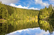 Spiegelung Wald am Grumbacher Teich in Hahnenklee im Harz