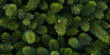 © Damianius - Image Of Coniferous Branches And Needles For Wallpaper And Background Created Using Artificial Intelligence