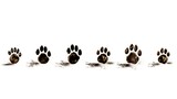 Dog Footprints on a Clean White Surface: Follow Your Canine Friend's Path."