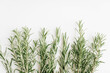 Sprigs of fresh rosemary on a white background. Fragrant rosemary top view.