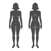 Silhouettes Of The Female Human Body, Front And Back Views. Anatomy. Medical And Concept. Illustration, Vector