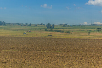 Wall Mural - Agricultural landscape near Naivasha, Kenya