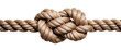 Strength in Simplicity: Isolated Rope Knot  isolated on transparent background,png