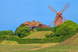 Champagne, le moulin de Verzenay au printemps