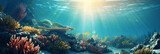 Fototapeta Do akwarium - beautiful seabed with sun rays
