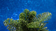 Few fir branches on blue sparkling background