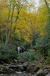 Grotto Falls in Great Smoky Mountains National Park surrounded by fall color