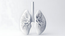 Human lung isolated on white health anatomy chest body section 3d background with medical respiratory biology organ healthy care or pulmonary internal breathe system and x-ray respiration treatment.