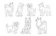 A set of illustrations of dogs of different breeds in different poses. Line art