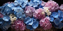 Blue Hydrangeas In A Basket Close-up, Flowers. Generative AI