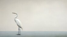  A White Bird Standing In The Middle Of A Body Of Water With A Long Neck And Long Legs And A Long Beak.  Generative Ai