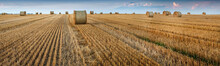 View Of Field With Straw Cylinders Bales And Lines After Harvest