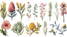 Watercolor Sommer Plants, Cones Clipart, White Background, Copy Space, 16:9