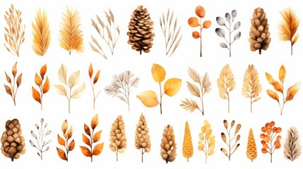 Wall Mural - watercolor autumn plants, cones clipart, white background, copy space, 16:9