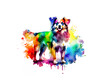 Hund, Hündin in regenbogen bunten Wasserfarben mit Spritzern und Kleksen vor einem weißen Hintergrund als Vorlage für Design Haus- und Nutztiere, Beschützer, Tierhaltung, Hunde, Züchter, Begleiter  