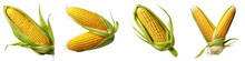 An Ear Of Corn Hyperrealistic Highly Detailed Isolated On Transparent Background Png File