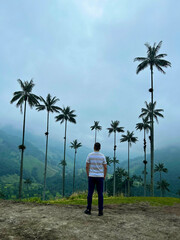 Person from back with wax palms in the background in the Cocora Valley in Salento, Quindío, Colombia