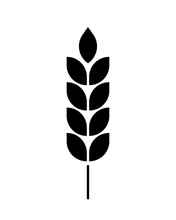 Wheat Icon. Black Silhouette Wheats Isolated On White Background. Malt Beer. Wheat Ear. Barley Or Corn For Flour Print Design. Millets Symbol. Bluebunch Pictogram. Gluten Leaf. Vector Illustration